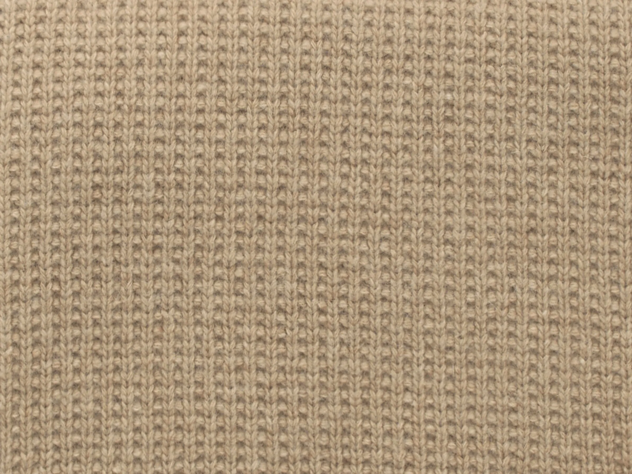 Pettra Decorative Pillow