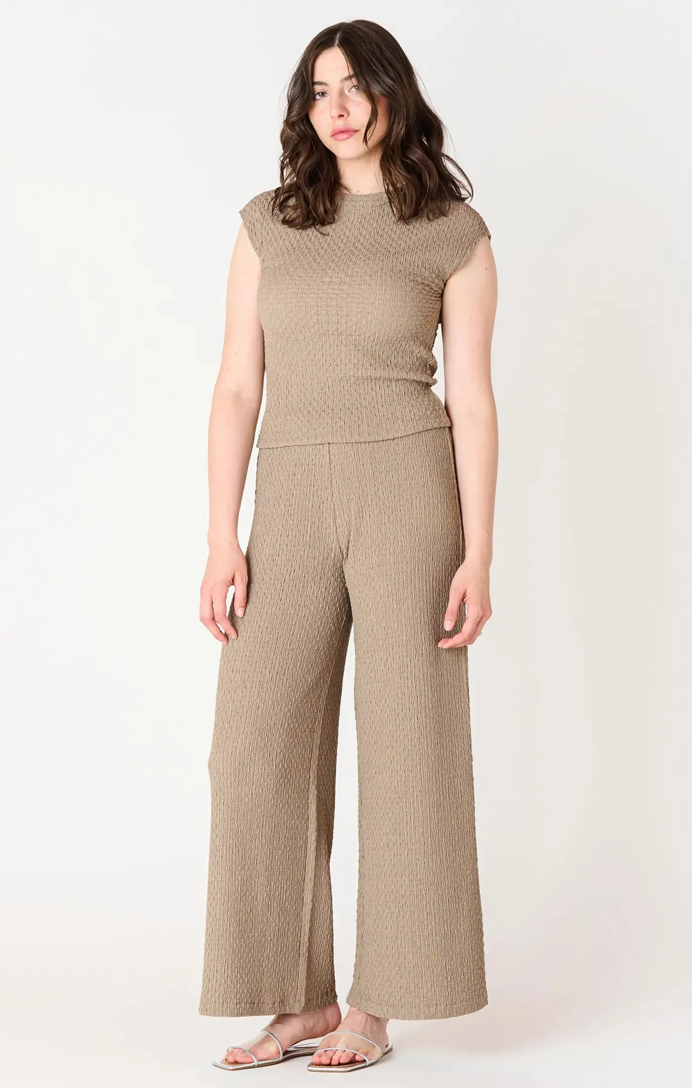 Taupe Cap Sleeve Textured Top 2524014 T