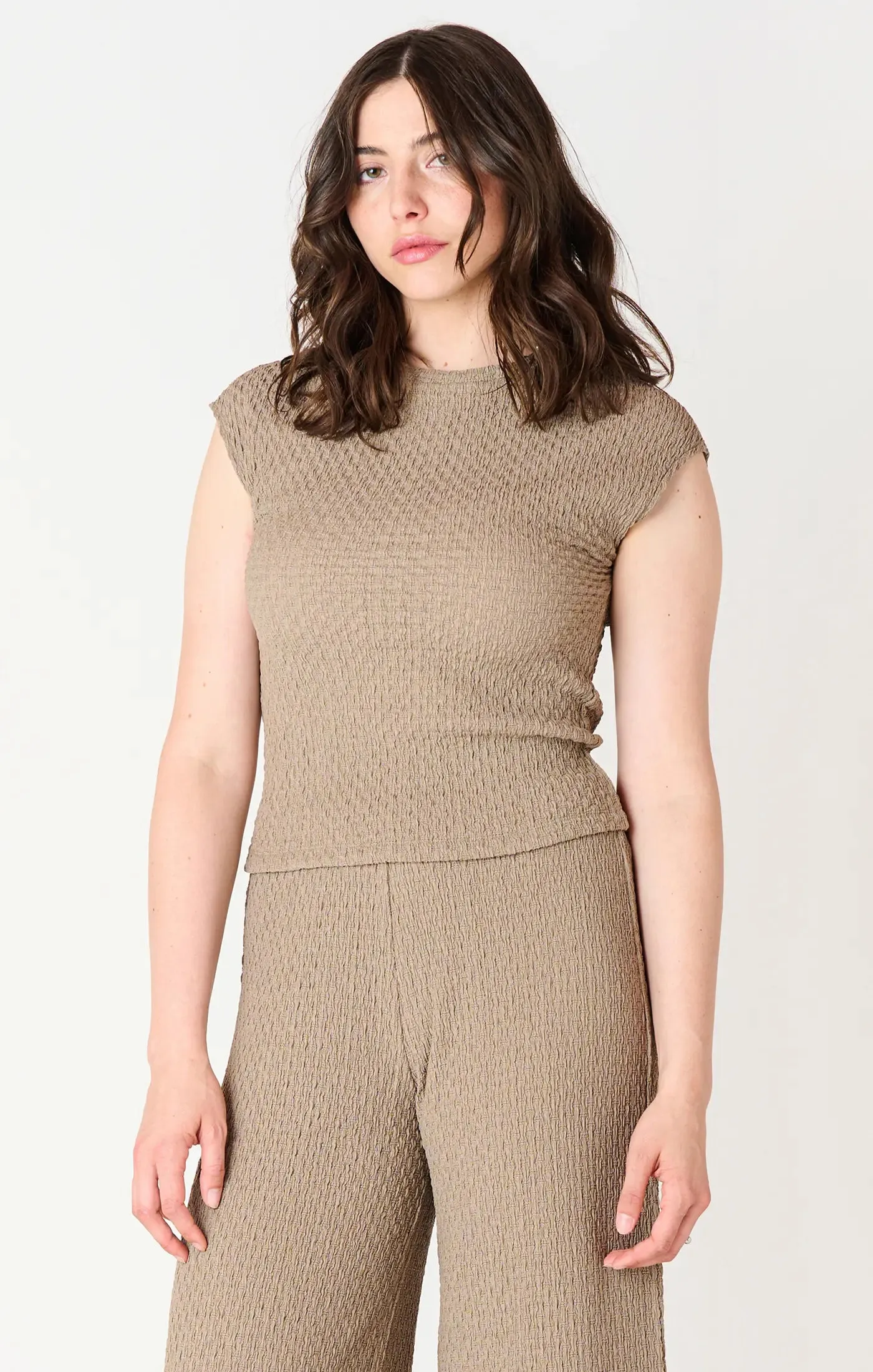 Taupe Cap Sleeve Textured Top 2524014 T